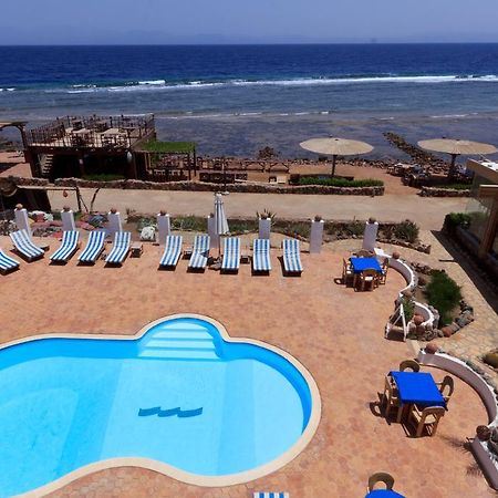 Blue Beach Club Apartment Dahab Exteriör bild