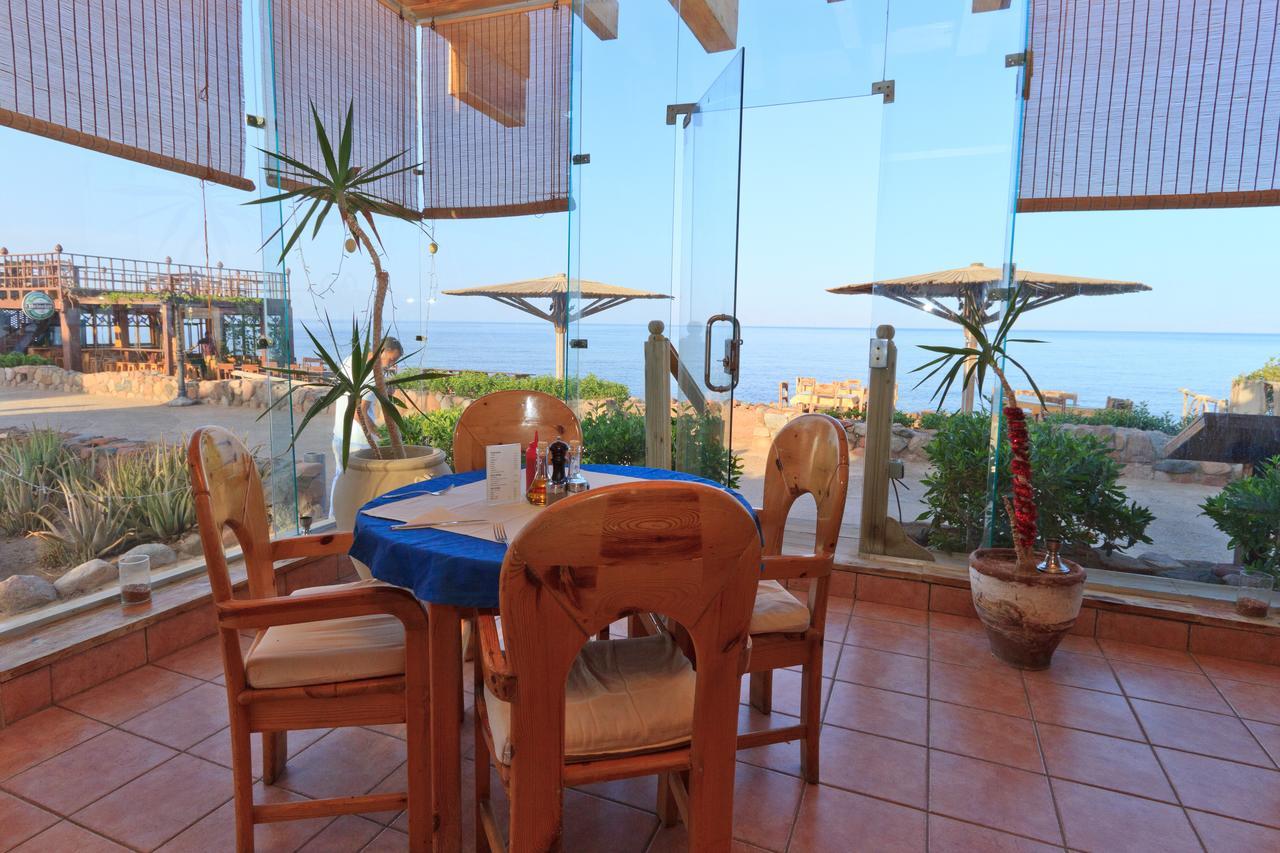 Blue Beach Club Apartment Dahab Exteriör bild